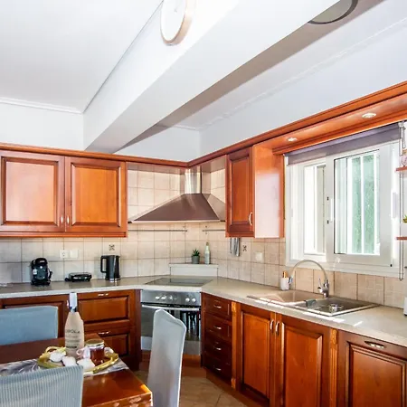 度假居 Irida's House Lakíthra